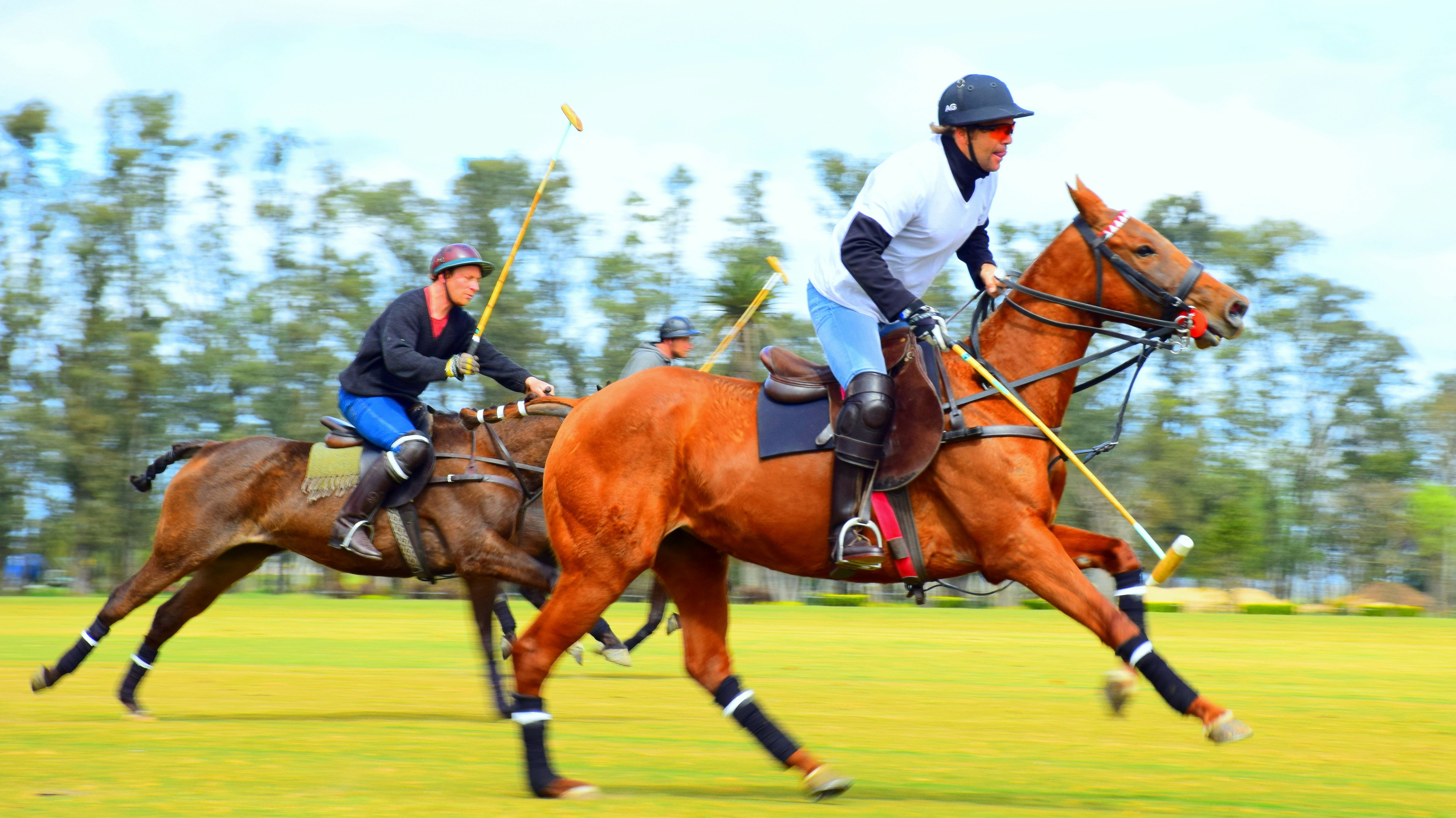 Was Polo und M&A miteinander verbindet